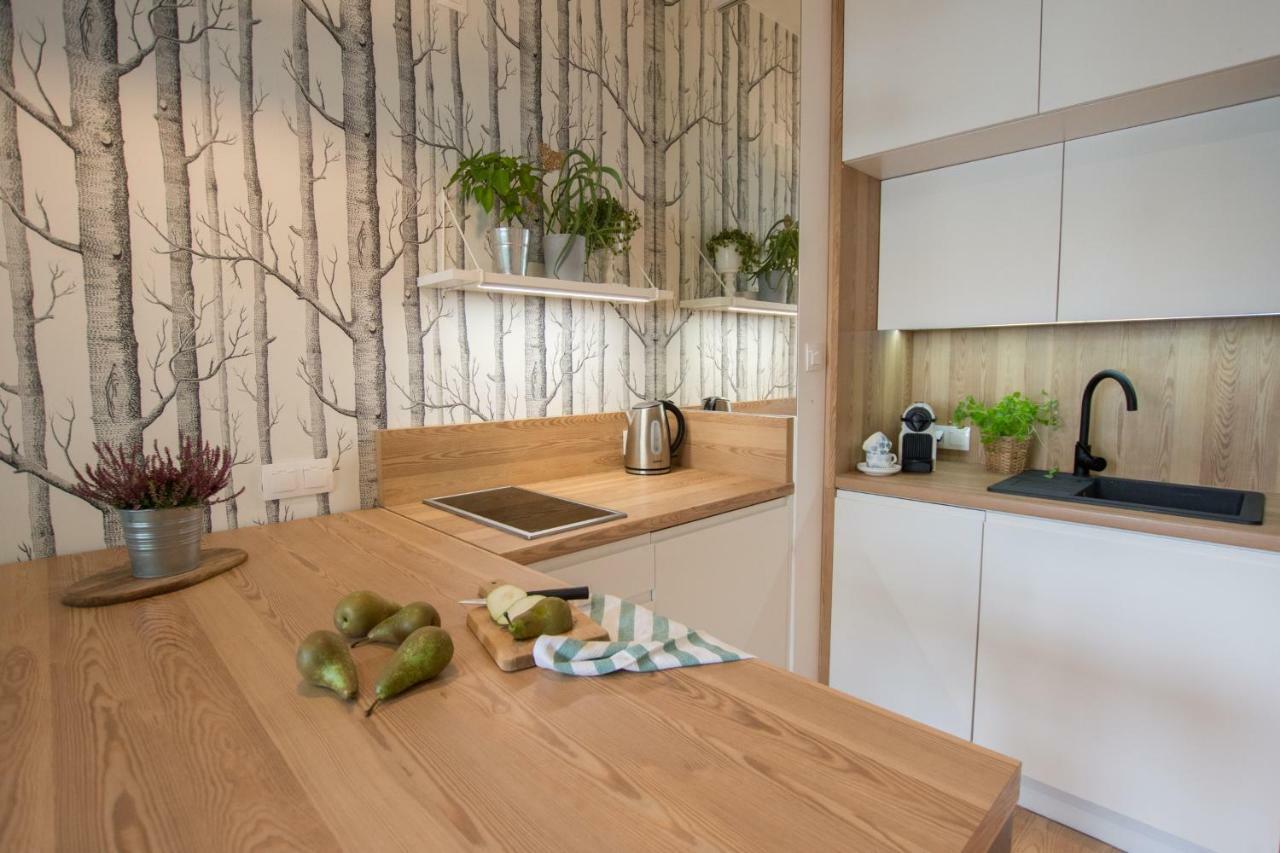 Rakowicka Apartment Krakow Dış mekan fotoğraf